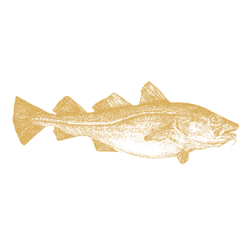 Seasonal fish
