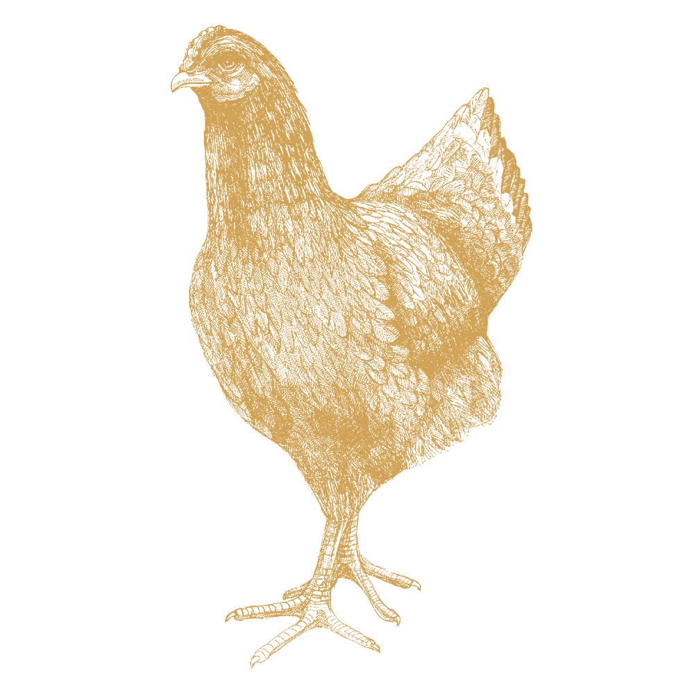 Free-range British Chicken