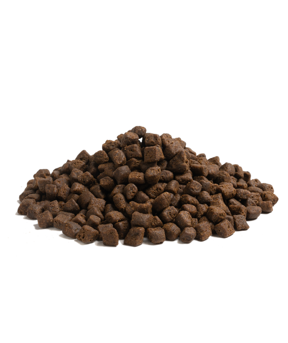 THE BEGINNING SMALL BREED, 2,5KG