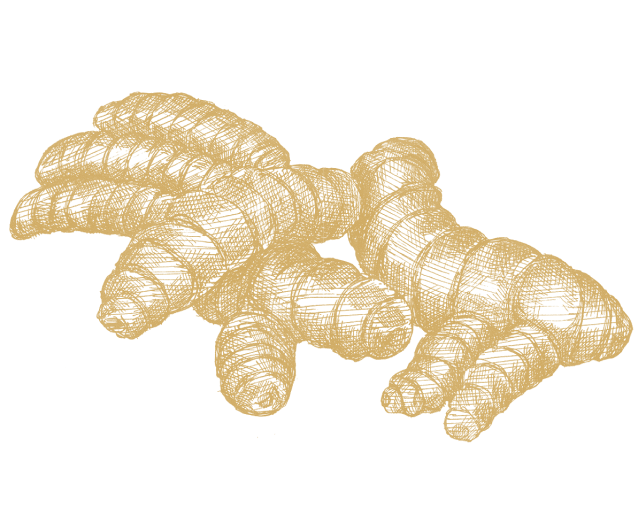 Gurkemeie